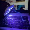 LED UV Light